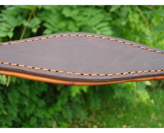 Lesa pentru prezentare ciobanesc german