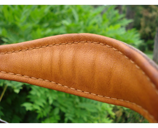 Lesa pentru prezentare ciobanesc german