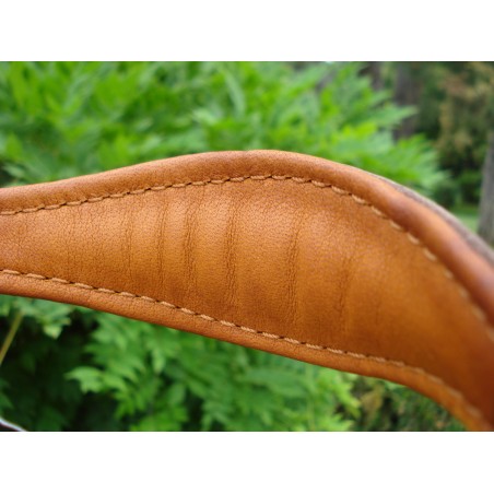 Lesa pentru prezentare ciobanesc german