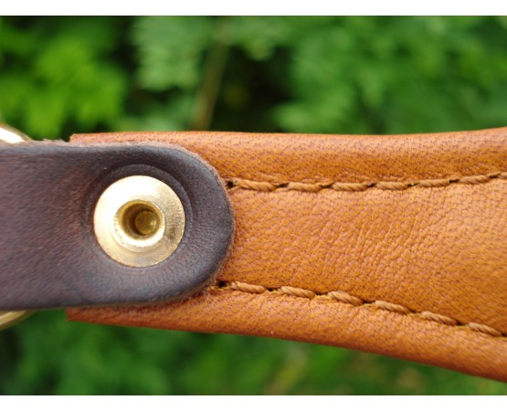 Lesa pentru prezentare ciobanesc german