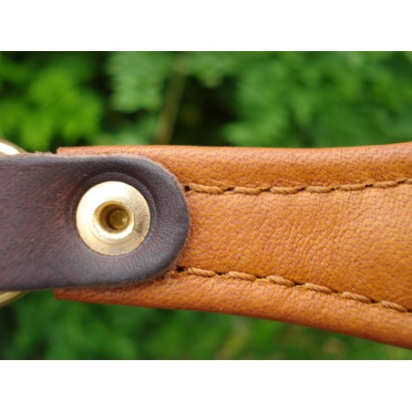 Lesa pentru prezentare ciobanesc german