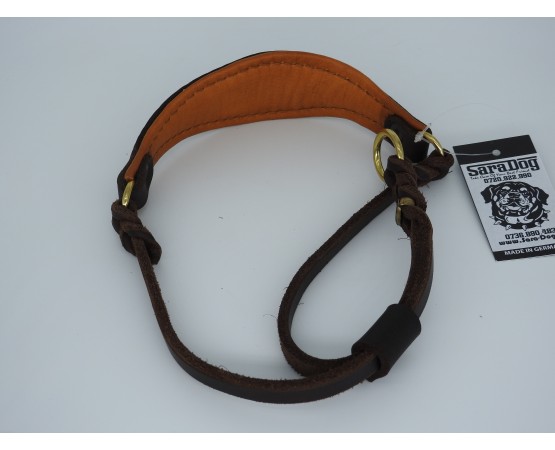 Zgarda pentru ciobanesc german