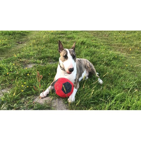 Minge pentru dresaj canin , din material francez