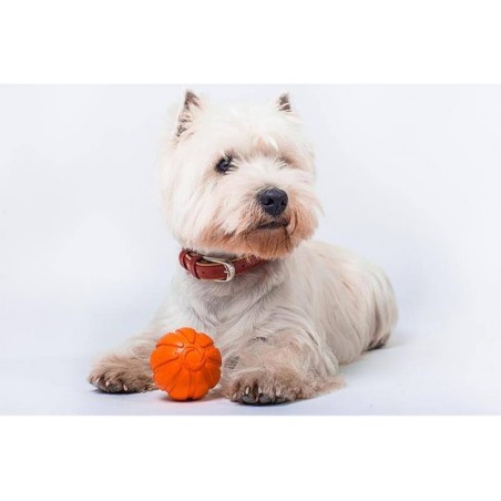 Minge Liker pentru caini , din spuma cu densitate ridicata