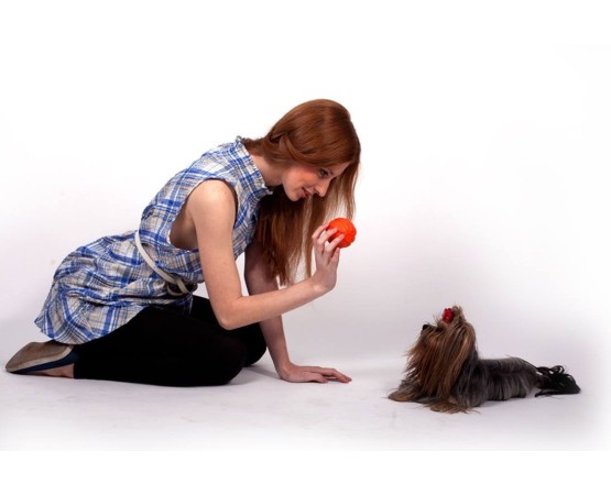 Minge Liker pentru caini , din spuma cu densitate ridicata