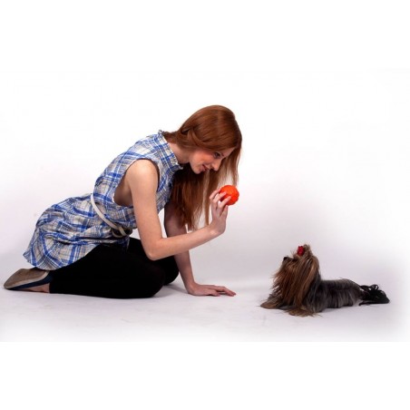 Minge Liker pentru caini , din spuma cu densitate ridicata