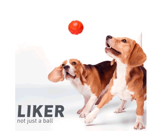 Minge Liker pentru caini , din spuma cu densitate ridicata