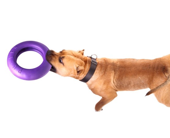 Puller dog fitness tool Maxi