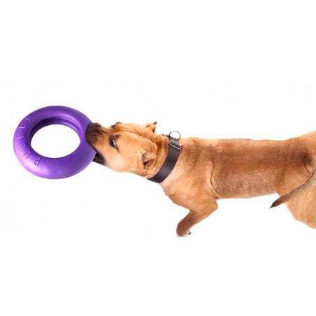 Puller dog fitness tool Maxi