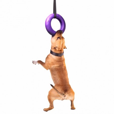 Puller dog fitness tool Maxi
