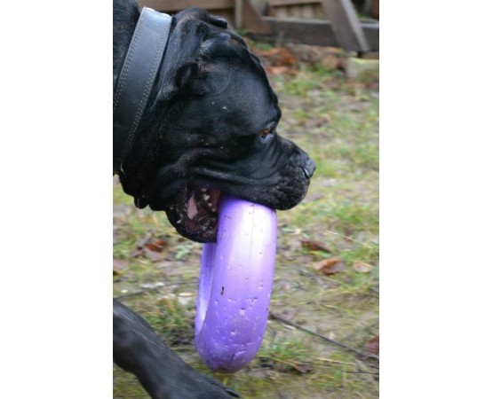 Puller dog fitness tool Maxi