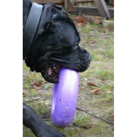 Puller dog fitness tool Maxi