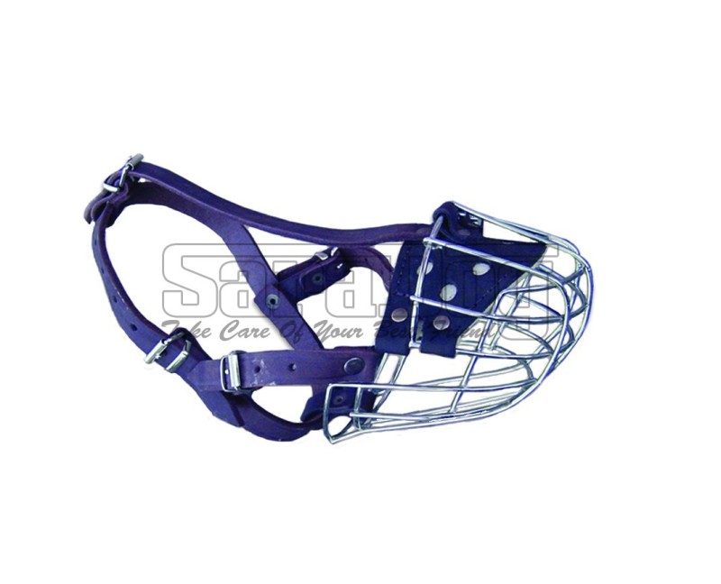 Botniţă Boxer mascul