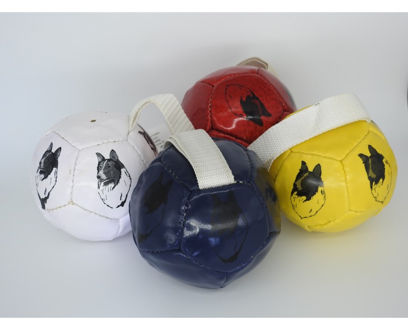 Minge fotbal caini