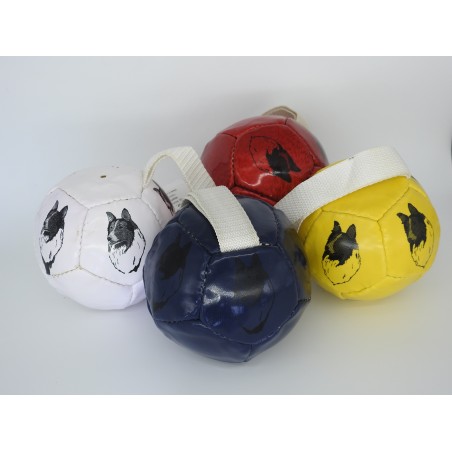 Minge fotbal caini