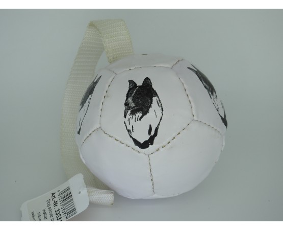 Minge fotbal caini