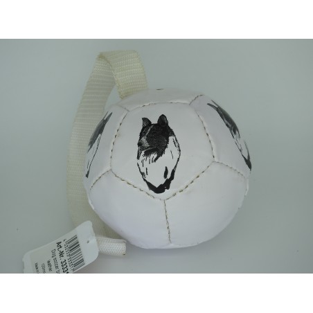 Minge fotbal caini