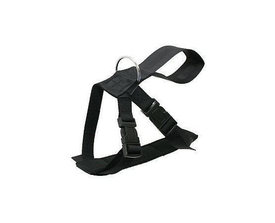 Ham & centura siguranta transport caine.