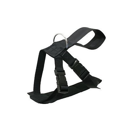 Ham & centura siguranta transport caine.