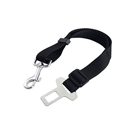 Ham & centura siguranta transport caine.