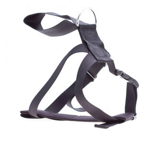 Ham & centura siguranta transport caine.