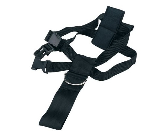 Ham & centura siguranta transport caine.