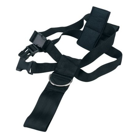 Ham & centura siguranta transport caine.