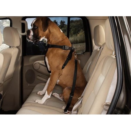 Ham & centura siguranta transport caine.