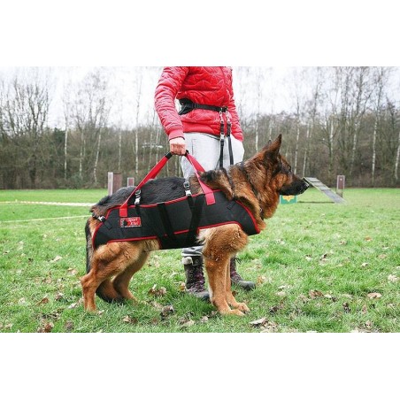 Ham special pentru caini cu probleme locomotorii