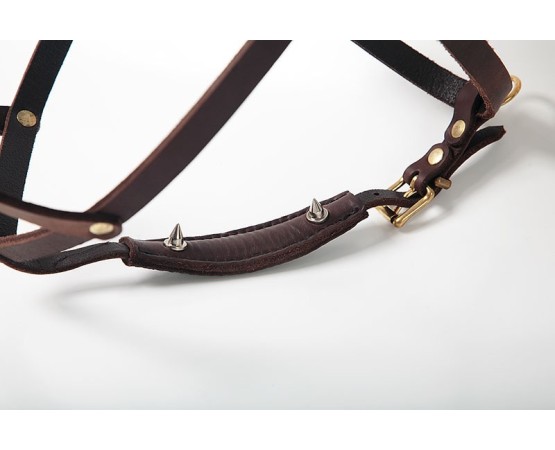 Ham special urma caini