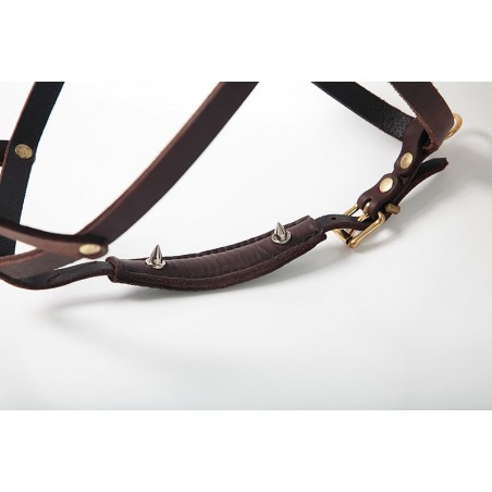 Ham special urma caini