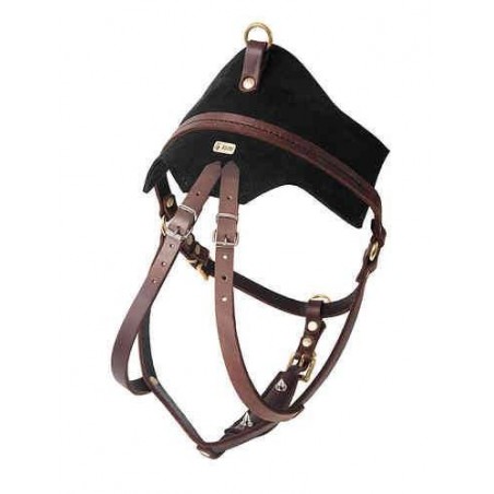 Ham special urma caini