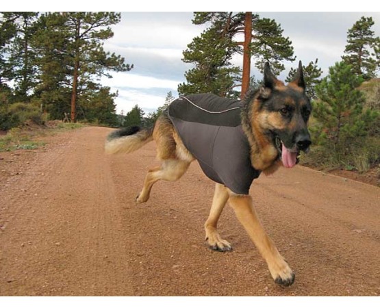 Vesta caine Ruffwear Cloud Chaser™
