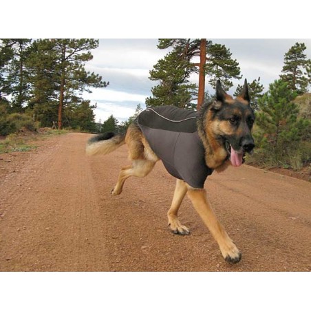 Vesta caine Ruffwear Cloud Chaser™