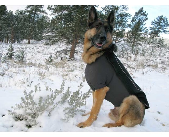 Vesta caine Ruffwear Cloud Chaser™