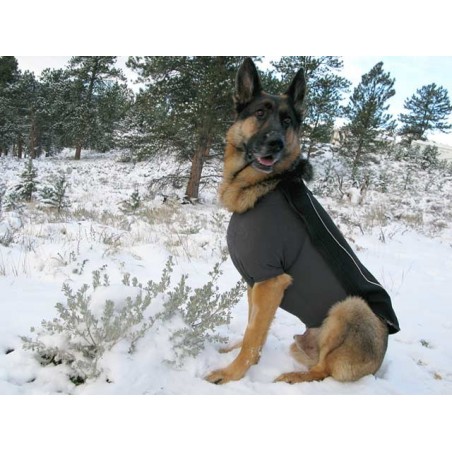 Vesta caine Ruffwear Cloud Chaser™