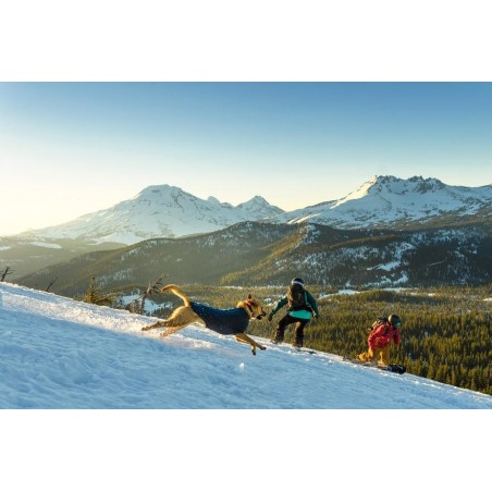 Vesta caine Ruffwear Cloud Chaser™
