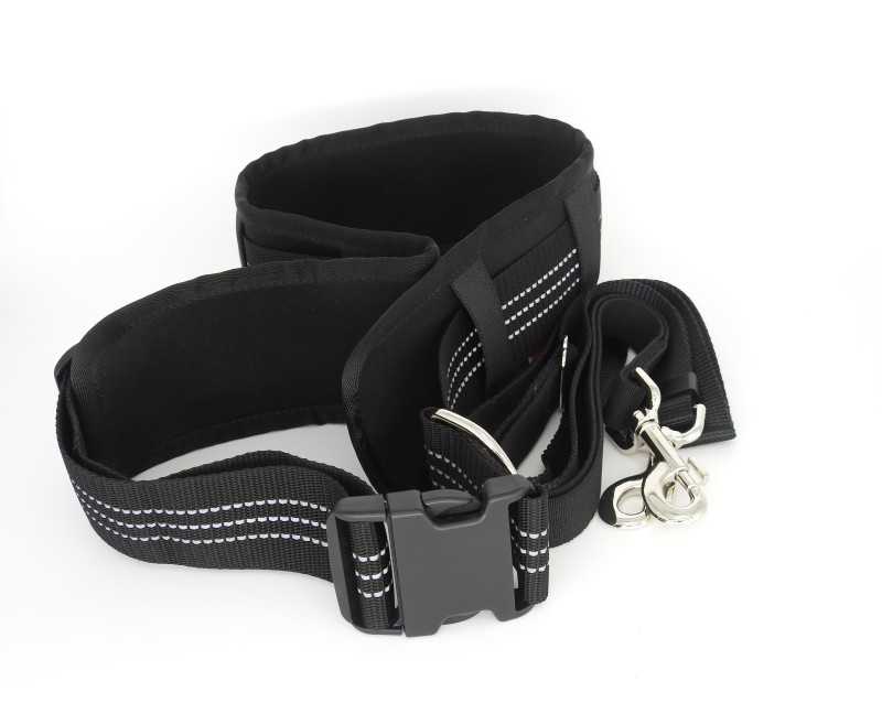 Hands free caini Jogger