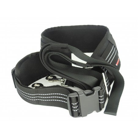 Hands free caini Jogger