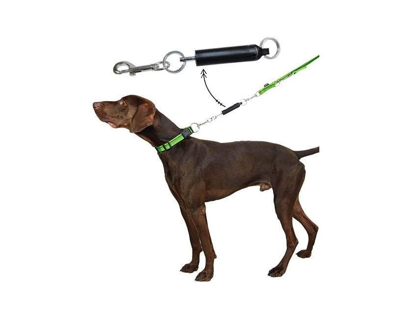 Sistem acustic educare caini