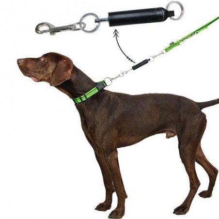 Sistem acustic educare caini