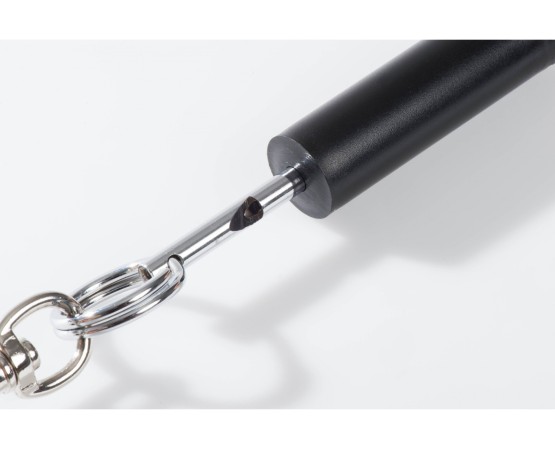 Sistem acustic educare caini