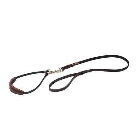 Lesa cu zgarda sistem eliberare rapida