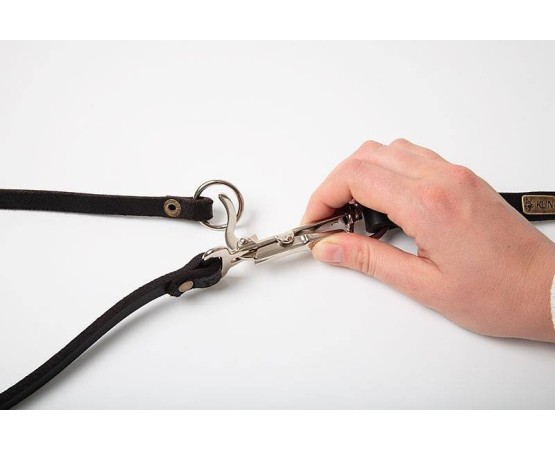 Lesa cu zgarda sistem eliberare rapida