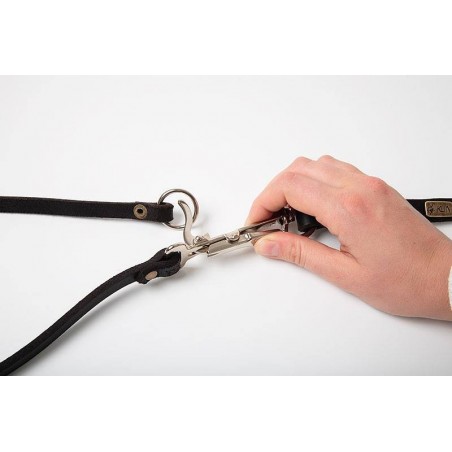 Lesa cu zgarda sistem eliberare rapida