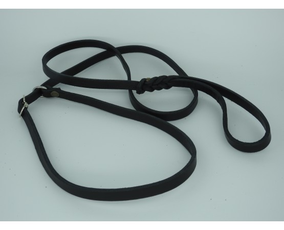 Lesa prezentare expozitie piele naturala