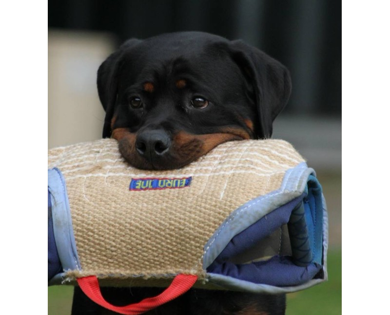 Perna de muscatura dresaj caini iuta Extra Euro Joe