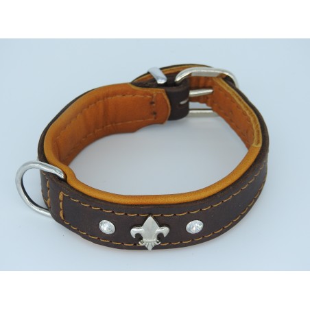 Zgarda lux caine prevazuta cu cristal Swarovsky