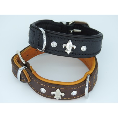 Zgarda lux caine prevazuta cu cristal Swarovsky