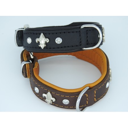 Zgarda lux caine prevazuta cu cristal Swarovsky